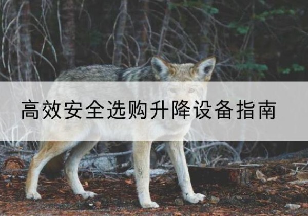 老河口升降货梯厂家推荐-*安全选购升降设备指南