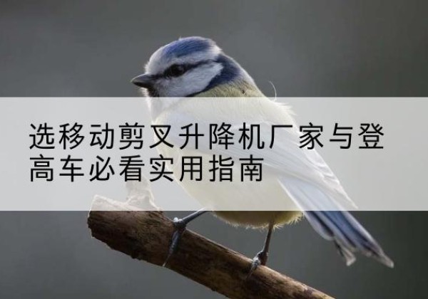 老河口电动升降机厂家-选移动剪叉升降机厂家与登高车必看实用指南